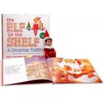 Life with Ladybug: Elf on the Shelf (and lots of other places)!