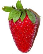 strawberry.jpg