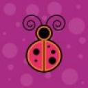 bigstockphoto_ladybug_2853358.jpg