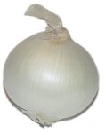 onion1.jpg