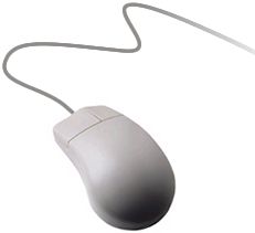 mouse1.jpg