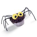 hairy-daddy-long-legs-cupcakes-halloween-recipe-photo-260-ff1001treata12.jpg