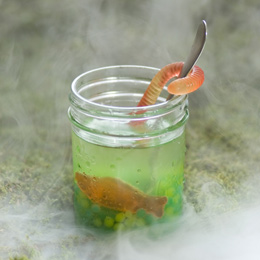 swamp-juice-halloween-recipe-photo-260-ff1009totma01.jpg