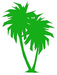 double_palm_tree.jpg