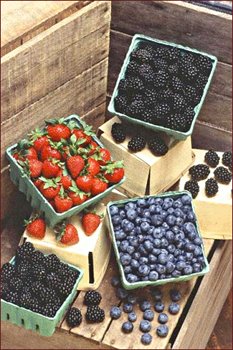 berries-large.jpg