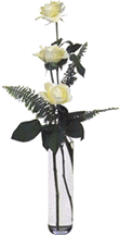 white-roses-vase.gif