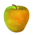 apple1.gif