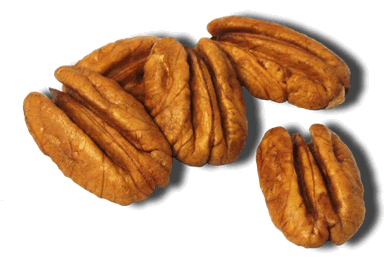 pecans1.gif