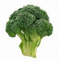 broc.jpg