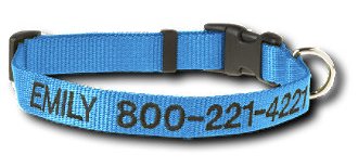 dog-collar.jpg