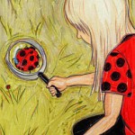 Life with Ladybug: What a trip
