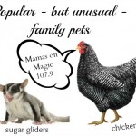Mamas on Magic 107.9: Exotic family pets
