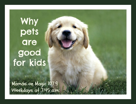 pets and kids