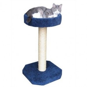 cat tree