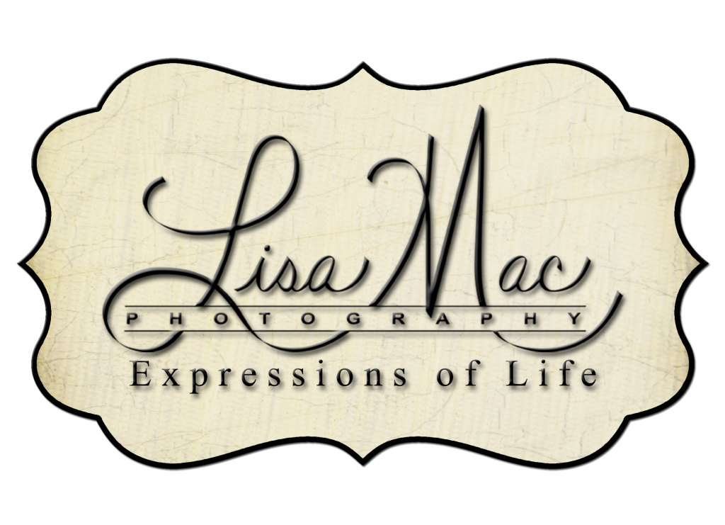 lisa mac logo2