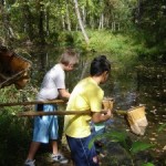 Botanical Garden of the Ozarks Summer Camps for little and big kids!
