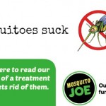Get rid of mosquitoes in your yard with Mosquito Joe