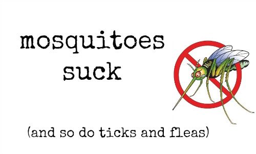 mosquitoes suck