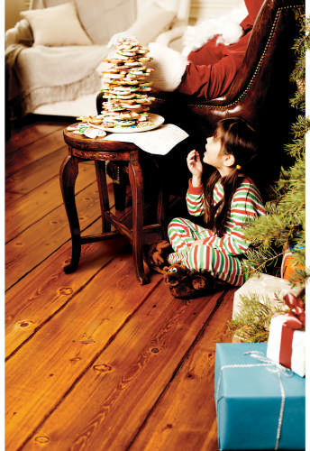 Santa with cookies