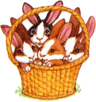 basket-of-rabbits