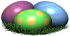 eggs02