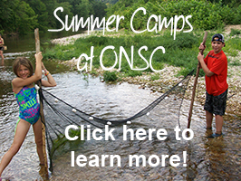 onsc summer camps 2014