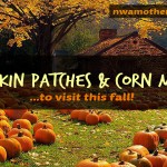 Guide: Corn mazes and pumpkin patches to visit in Northwest Arkansas!
