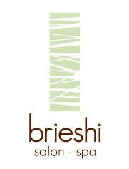 brieshi logo