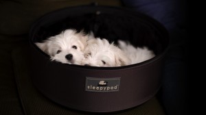 sleepypod