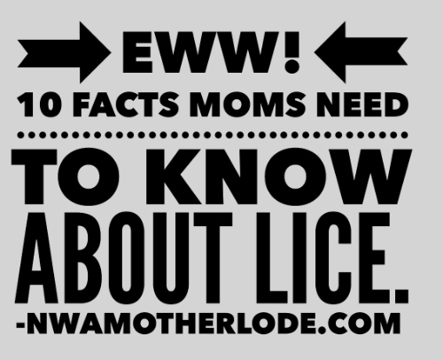 lice need to know graphic sized 500
