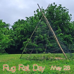 rug rat day