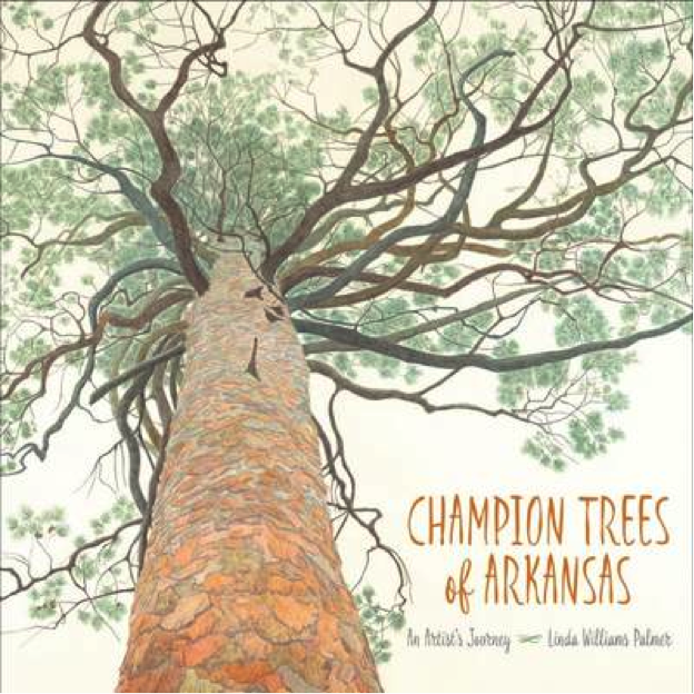 champion trees of arkansas