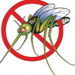 Sponsor spotlight: Mosquito Joe (and why we love it)