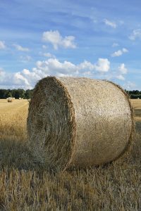 hay-bale