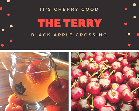The Terry, tart cherry cider at Black Apple Crosing, Nothwest Arkansas