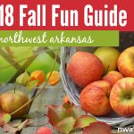 2018 Fall Fun Guide: Top 10 things to do with your family this fall in Northwest Arkansas!