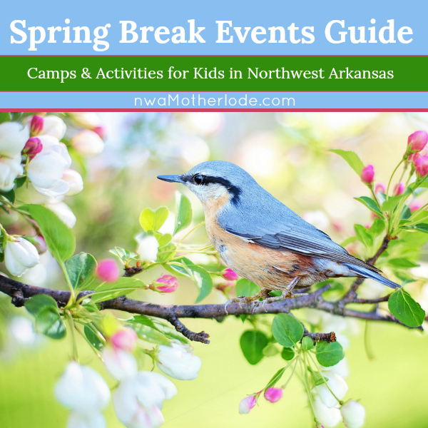 Things to do in Northwest Arkansas during Spring Break 2023