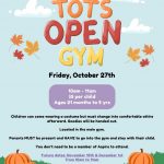 Open Gym for Toddlers and Preschoolers at Aspire Gymnastics
