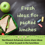 School Lunch Box Ideas: Northwest Arkansas moms share their best tips + what to pack